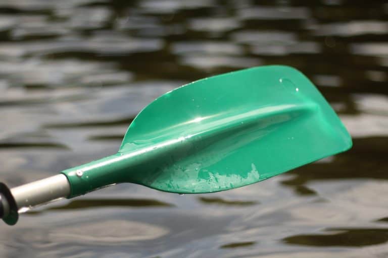 Best Kayak Paddles – Reviews & Guide 2025
