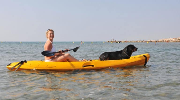 How To Kayak With Your Dog?