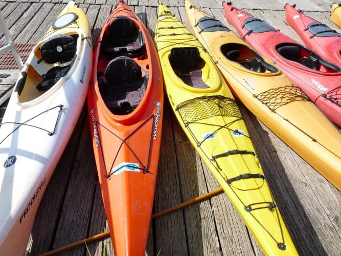 Anatomy of a Kayak Parts of a Kayak Explained Kayak Help