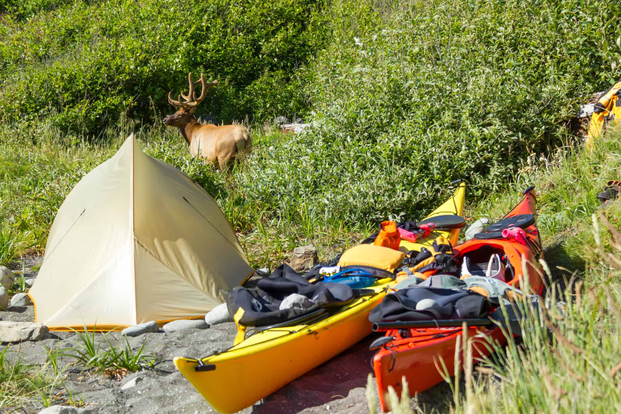 kayak camping trip