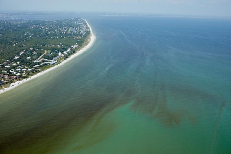 Red Tides Are Sweeping The Southern Coast, And Northern Lakes Are Ravaged by Algal Blooms. How Does This Affect Kayakers?