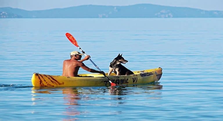 How To Kayak With Dog