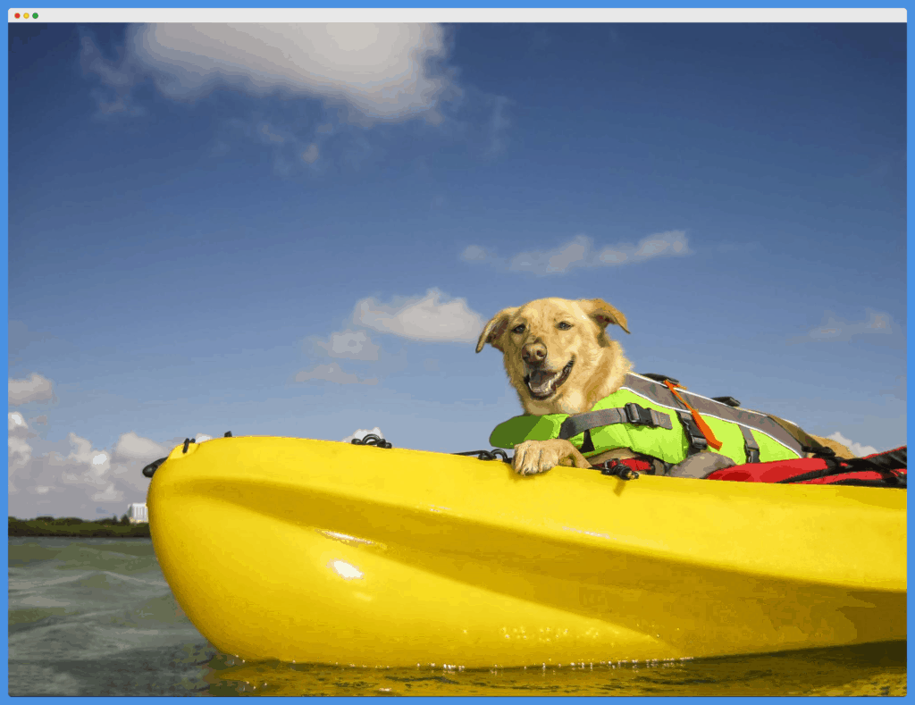 How To Kayak With Dog Kayak Help