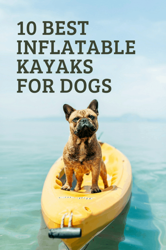 10 Best Inflatable Kayaks For Dogs Kayak Help