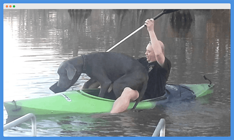 Best Kayak Dog Platforms, Seats, Deck, Attachments, & Outriggers - Kayak  Help