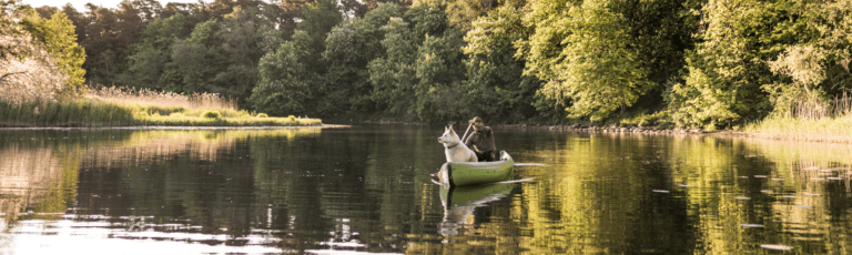 10 Best Canoes For Dogs