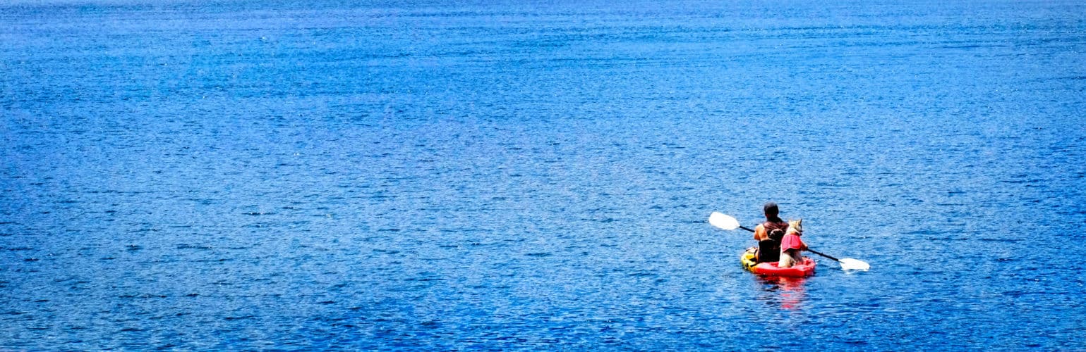 A Guide To Sea Kayaking With Dog