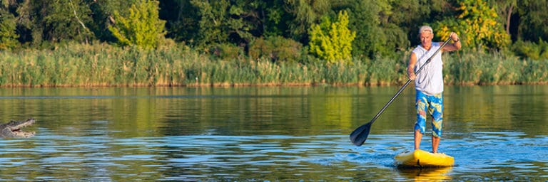 Do Alligators Attack Kayaks? Tips To Stay Safe