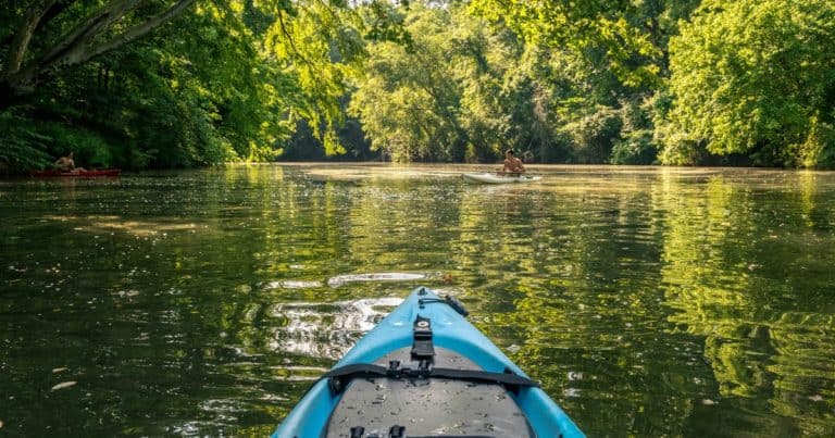Best Creeks To Kayak In Alabama