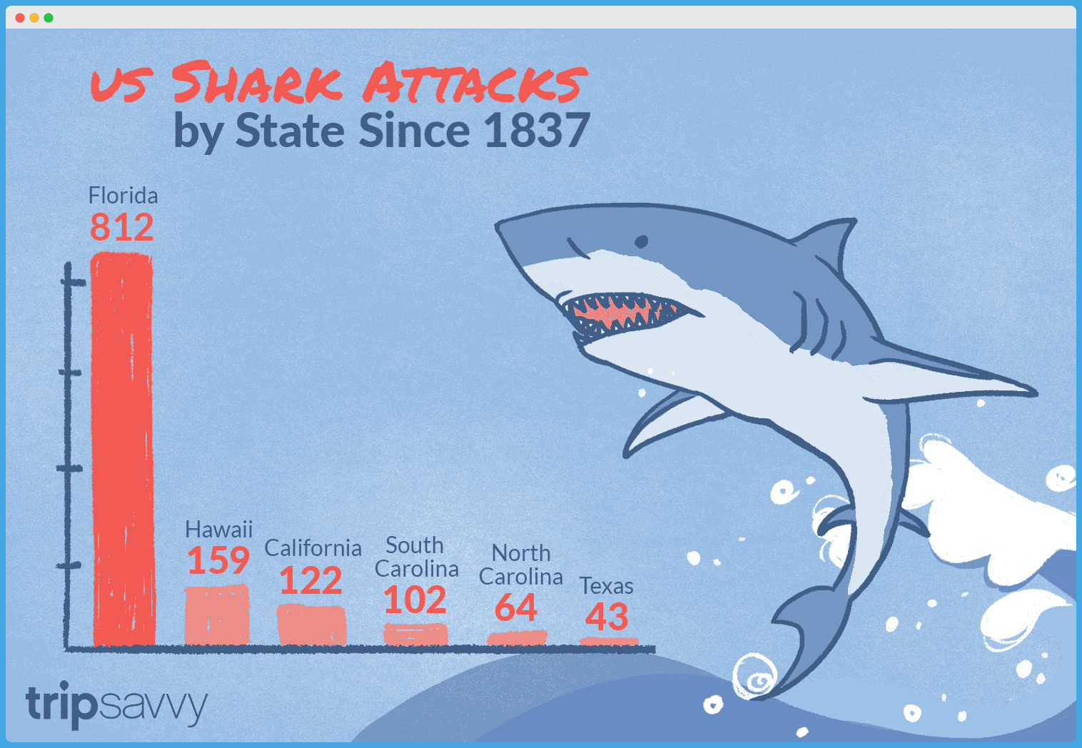 Kayak Shark Attack Statistics & Famous Encounters - Kayak Help