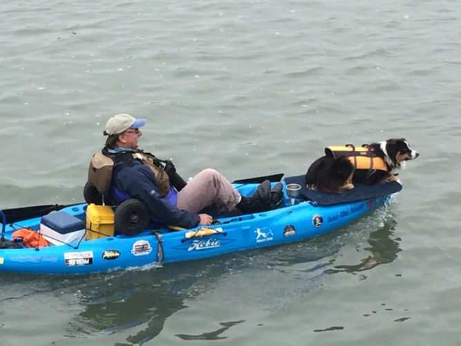 How To Modify A Kayak For A Dog? Kayak Help