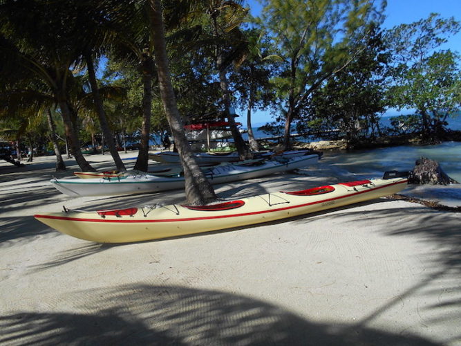 Why Are Kayaks So Expensive? Top Buying Tips Kayak Help