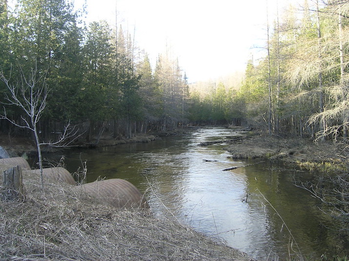 best kayaking trips in michigan