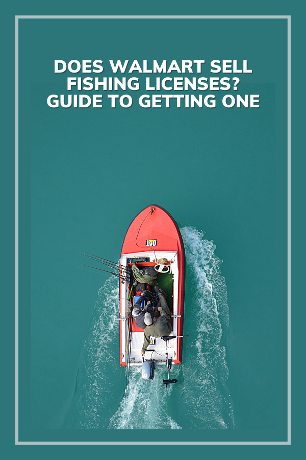 Does Walmart Sell Fishing Licenses Guide to Getting One 