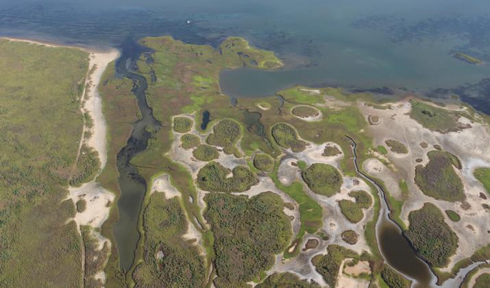 kayak tours galveston