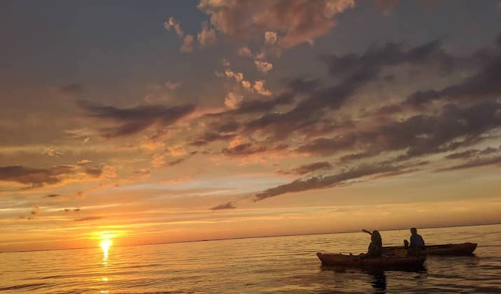 kayak tours galveston