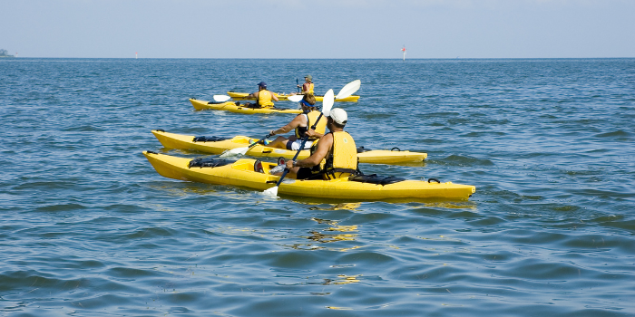 Clear Kayaking in Florida - The Ultimate Fun Guide
