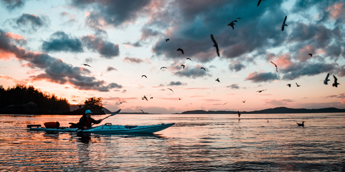 Kayaking In Lake District Complete Guide