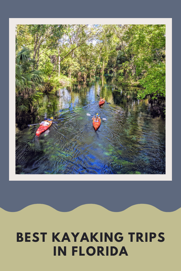 Best Kayaking Trips In Florida