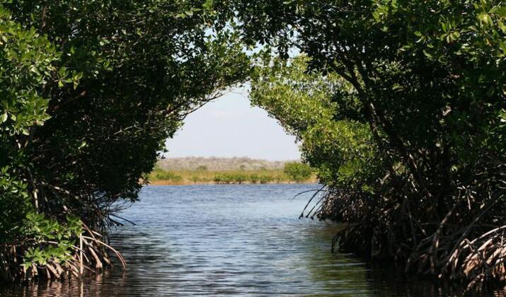 florida kayak tours