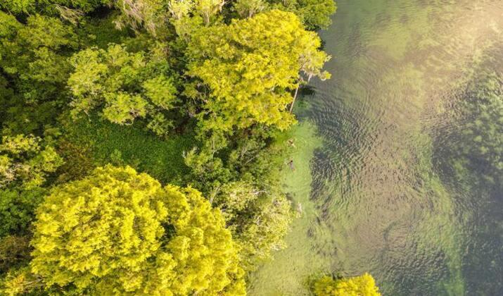 florida kayak tours