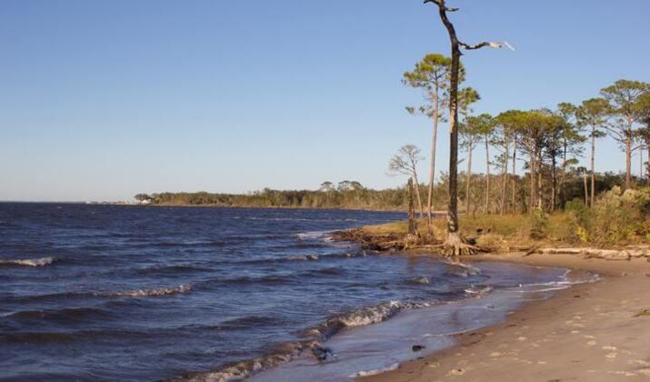 florida kayak tours