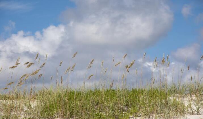 florida kayak tours