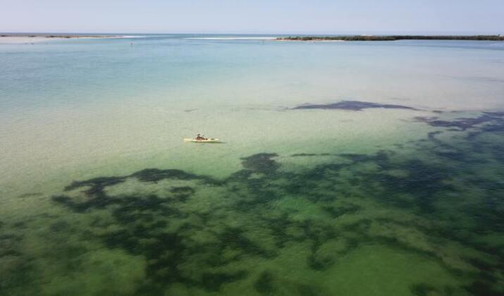 florida kayak tours