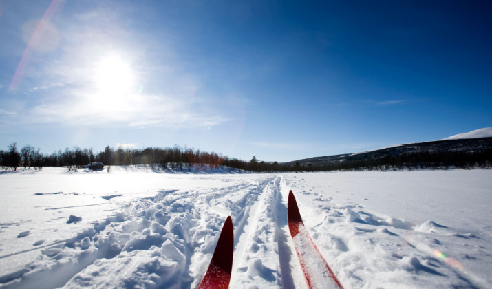 Classic No Wax Skin Cross-Country Ski Style