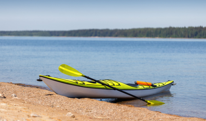 Get Back to Shore