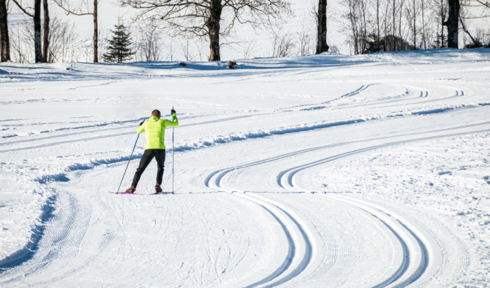 The Skating Style Of Cross-Country Skiing