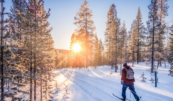 Cross Country Ski