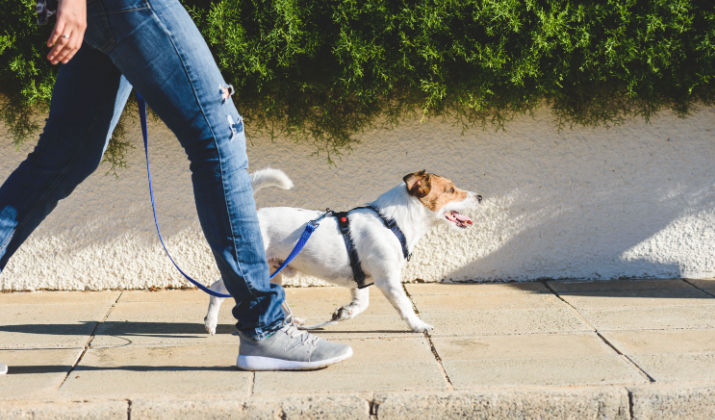 How Many Calories Do You Burn Walking One Mile?