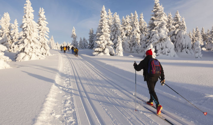 How To Choose Between The NNN Types Of Cross-Country Ski Bindings