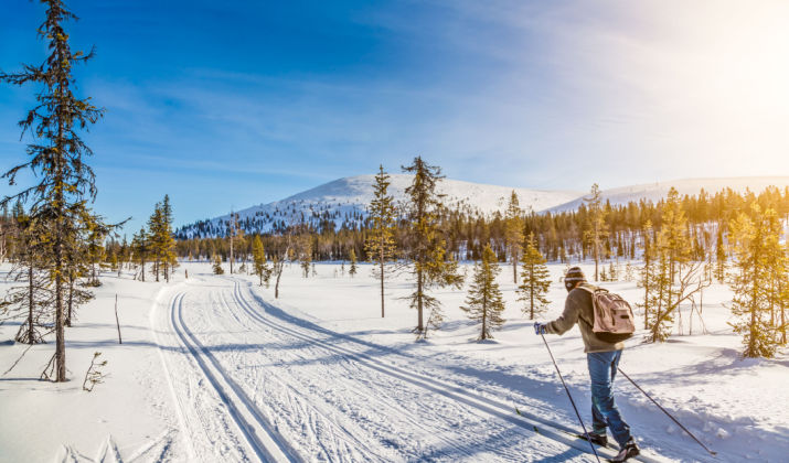 Prolink Bindings