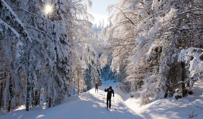 The Different Types Of Cross-Country Ski Bindings