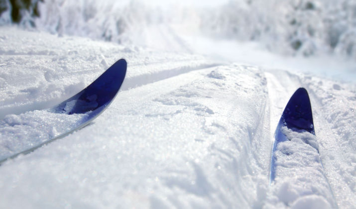 What Kind Of Cross-Country Ski Boots Do You Have?