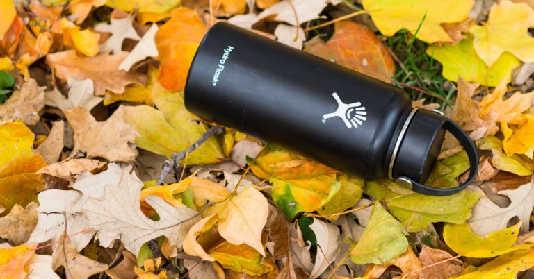 15 Best Hydro Flask Alternatives In 2025