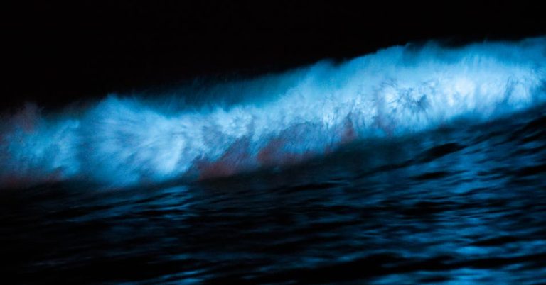 Bioluminescent Kayaking: 10 Best Places You Can’t Miss