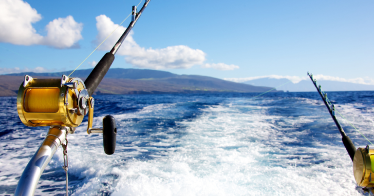 16 Biggest Trolling Motor In 2025