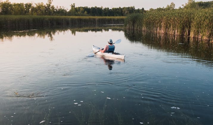 The King Island Kayak Plan – Free Download