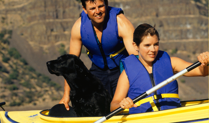 The Top 5 Kayaking Spots For Large Dogs: Explore The Water With Your Furry Friend