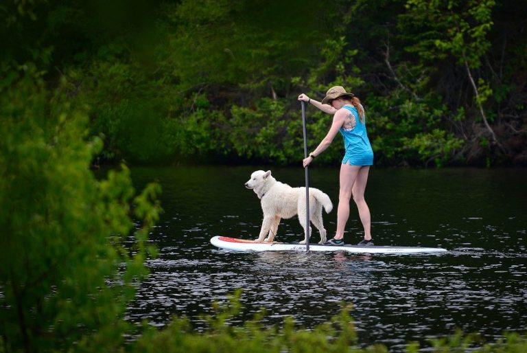 100+ Funny Paddle Boarding Captions For Instagram